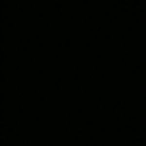 Meet your Posher, Rayman